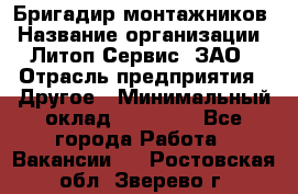 Бригадир монтажников › Название организации ­ Литоп-Сервис, ЗАО › Отрасль предприятия ­ Другое › Минимальный оклад ­ 23 000 - Все города Работа » Вакансии   . Ростовская обл.,Зверево г.